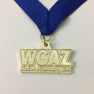 SMHS WGAZ Medal 2018